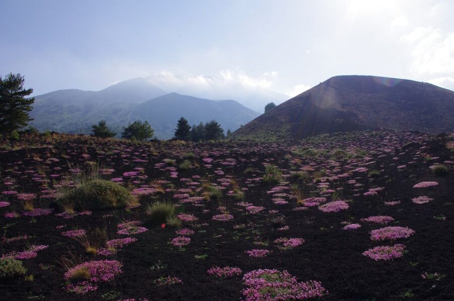 Etna Private Sunset Tour with Prosecco - The guide makes the difference