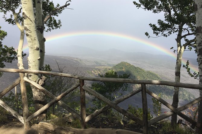 Etna Sunset Tour (starting from Catania) - The 1991 to 1993 lava flow near Zafferana Etnea