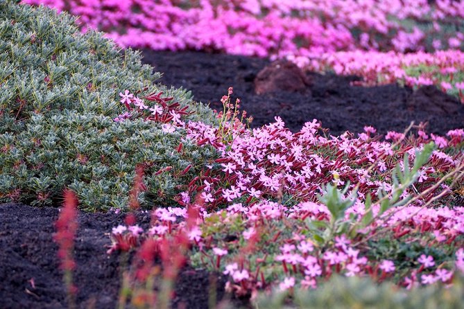 Etna Tour in 4x4 - What the guides add to the morning