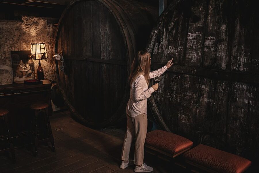 Etna Urban Winery, Vineyard Walk & Sunset Tasting Dinner - Why an urban vineyard is worth your evening