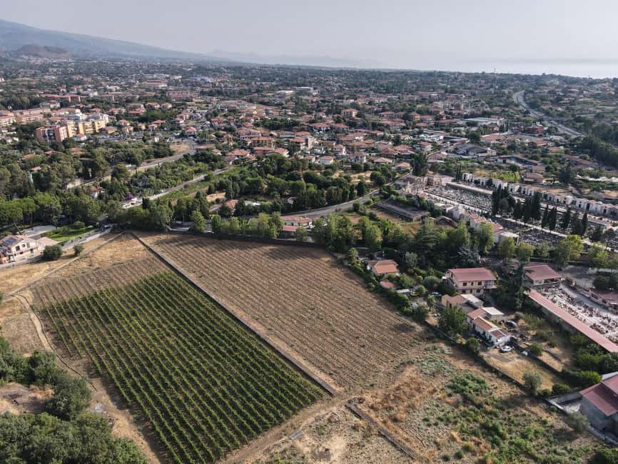 Etna Urban Winery, Vineyard Walk & Sunset Tasting Dinner - Who gets the most from the $86 price