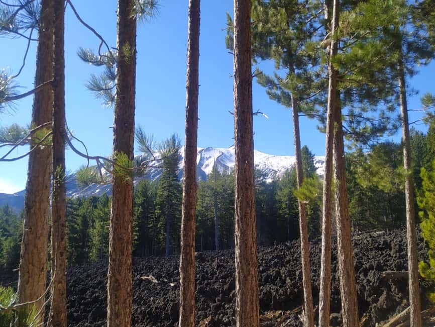 Etna walking tour, visit of a lava tunnel, Arancino tasting - Walking across Etna’s extinct craters and lava flows