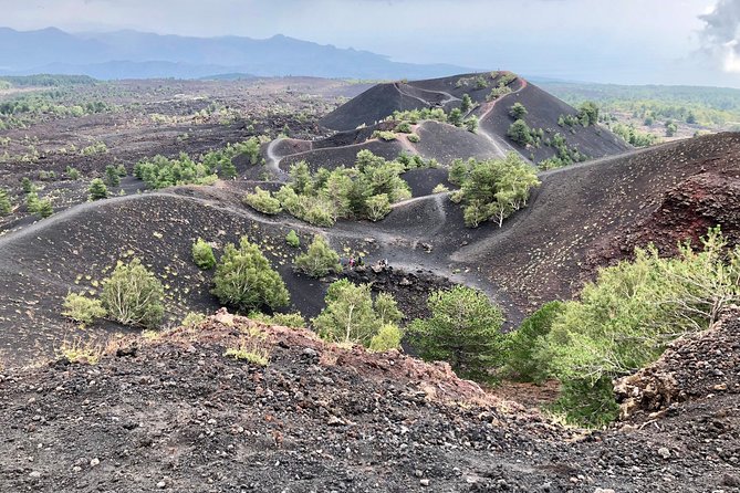 Etna, Wine and Alcantara Tour - From Taormina - Key points to know before booking