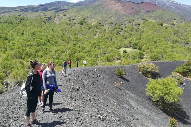 Etna, Wine and Alcantara Tour - From Taormina - Walking the craters at Monti Sartorius