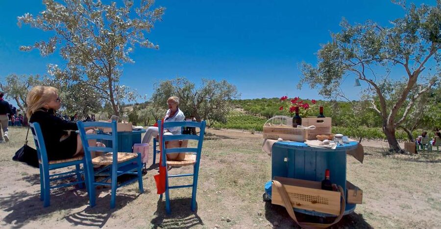Etna & Wine Private Day Tour - Key points to know before booking
