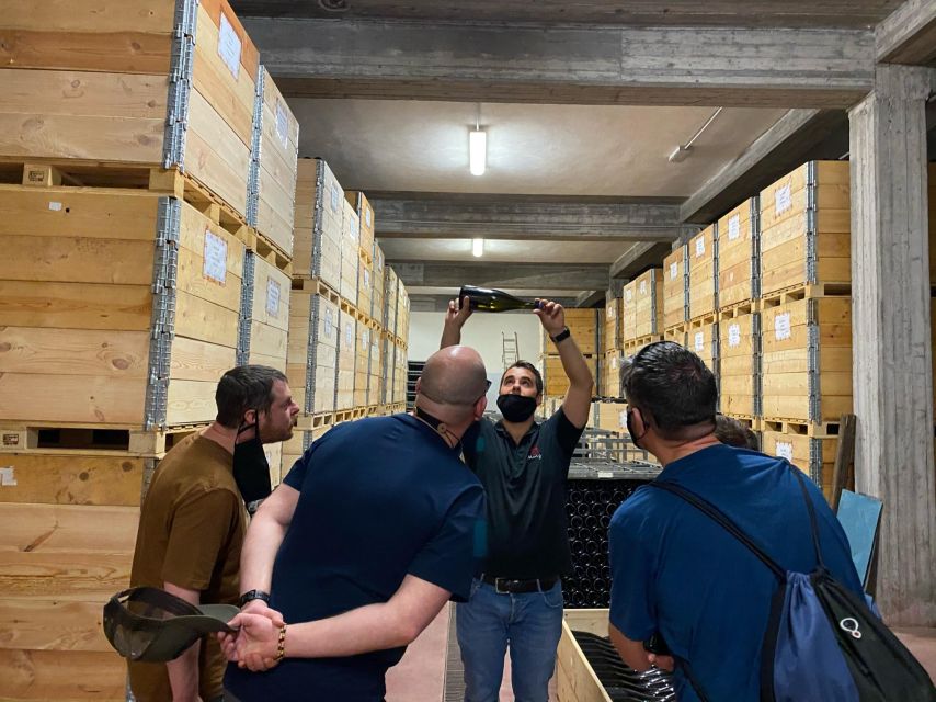 Etna & Wine Private Day Tour - Understanding the volcanic wine connection