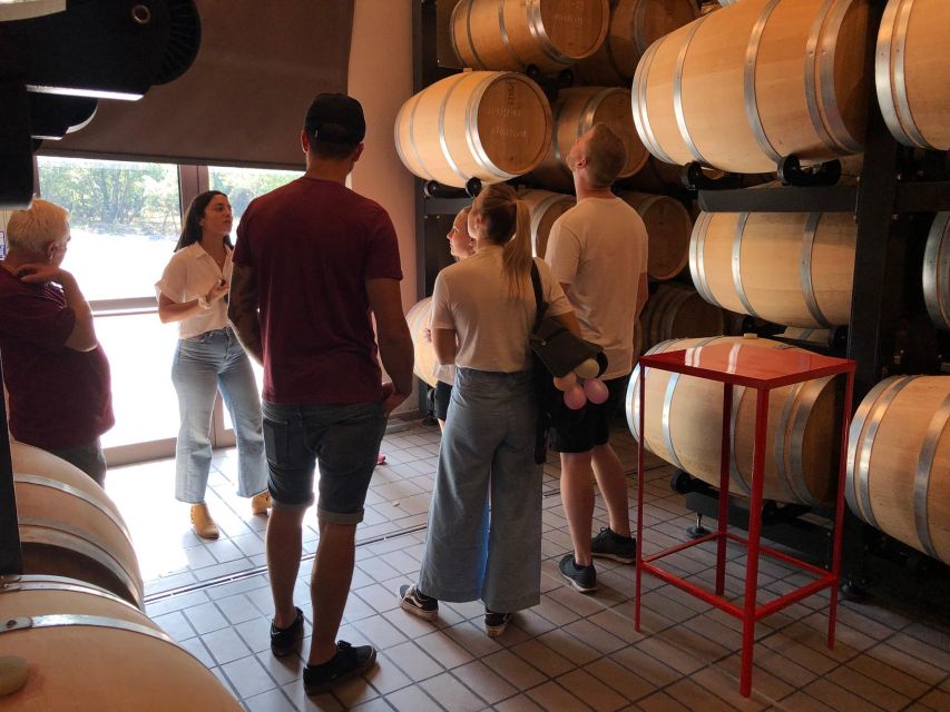 Etna & Wine Private Day Tour - Timing, weather, and what to pack