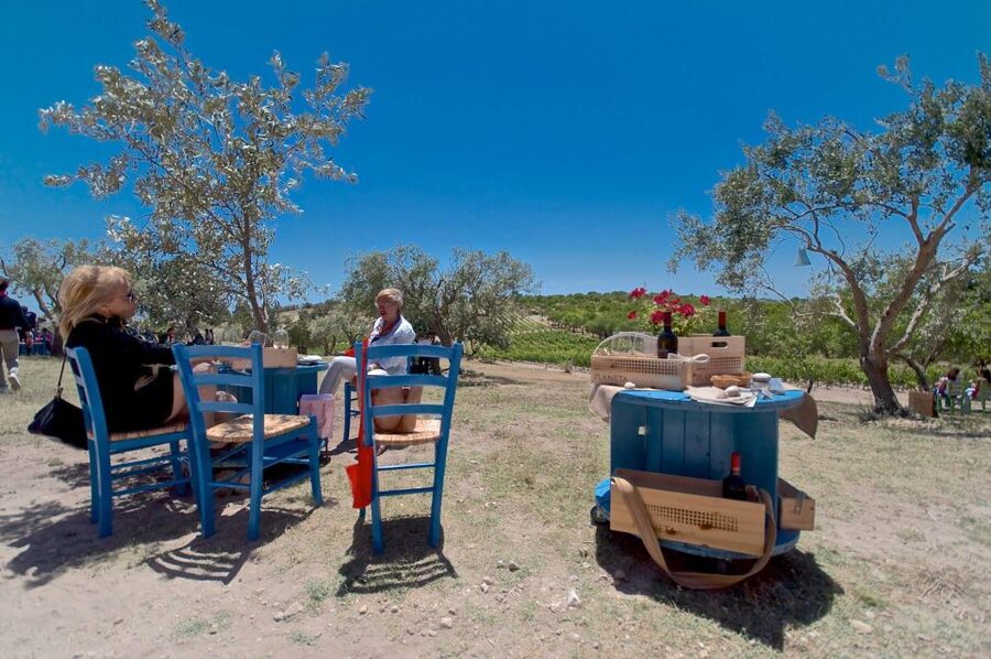 Etna & Wine Private Day Tour - The ride from Catania or Taormina