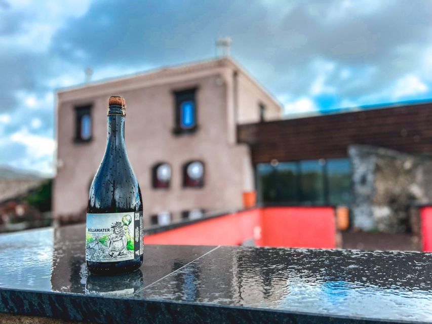 Etna: Wine Tasting and Food Tour - Vineyard walks and Etna DOC wine