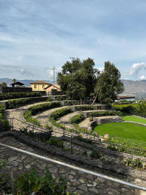 Etna: Wine Tasting and Food Tour - The guides make a real difference