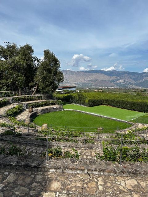 Etna: Wine Tasting and Food Tour - Should you book the Etna wine and food tour?