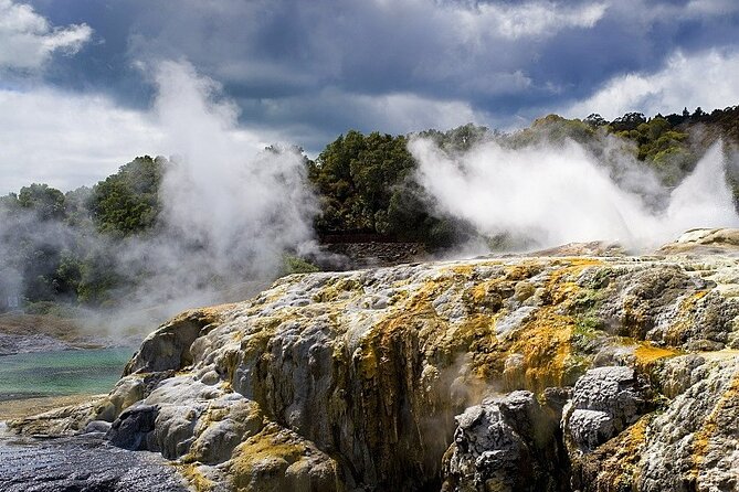 Ex Auckland: Rotorua Māori Village with Haka and Hot Springs - Meeting Rotorua at Whakarewarewa Māori Village