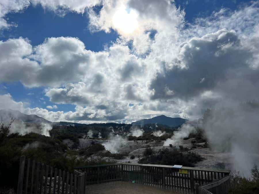 Ex Hamilton: Triple Deal WAI-O-TAPU, Redwood & Blue Springs - Why this Hamilton day trip works