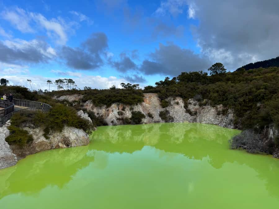 Ex Hamilton: Triple Deal WAI-O-TAPU, Redwood & Blue Springs - The mud pool makes a primal first stop