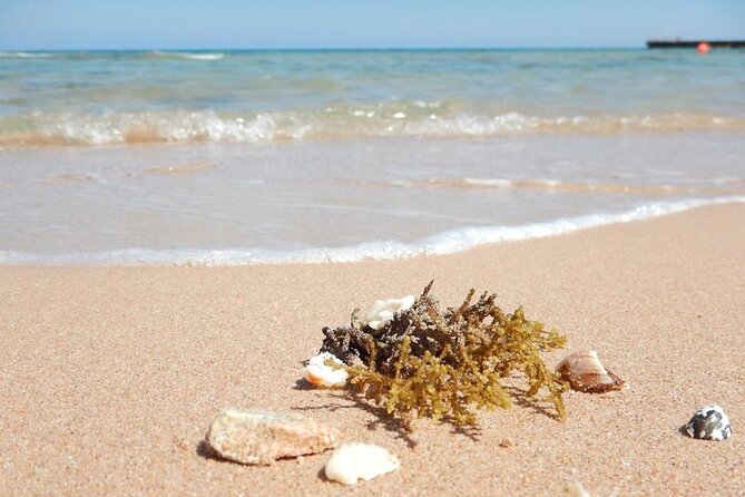 Excursion to the White Island & Ras Mohammed National Park from Sharm El Sheikh - How much value do you get for $26.65?