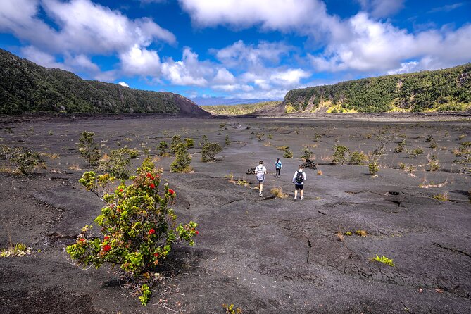 Expert Led Private Guided Tour Hawaii Volcanoes National Park - Key points to know before you book