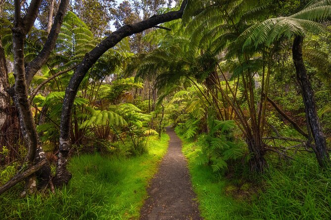 Expert Led Private Guided Tour Hawaii Volcanoes National Park - Why a private Kilauea tour can be worth the price