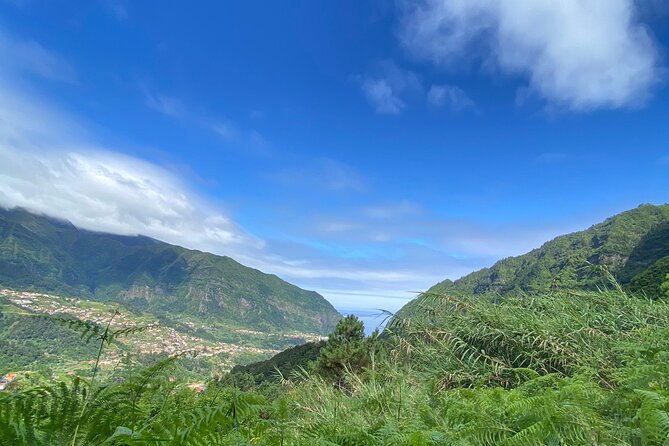 Fanal Forest, Skywalk & Lava Pools: West Madeira 4x4 Expedition - Porto Moniz gives you the day’s only long break