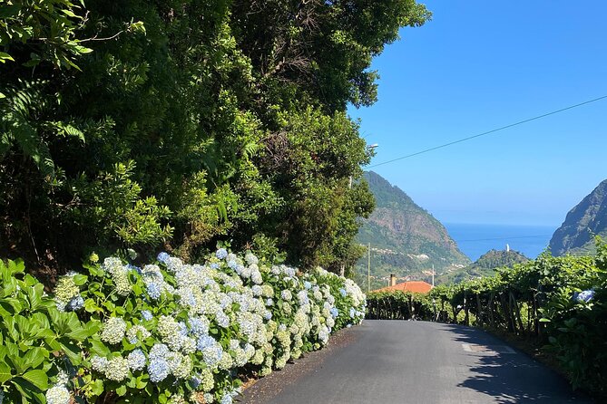 Fanal Forest, Skywalk & Lava Pools: West Madeira 4x4 Expedition - Fanal Forest is the moodiest stop