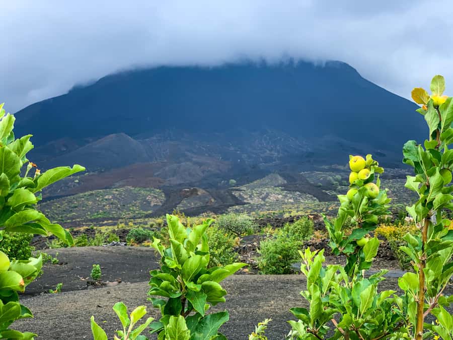 Fogo Island: Pico do Fogo Volcano Summit Hike - Starting in Santa Catarina do Fogo