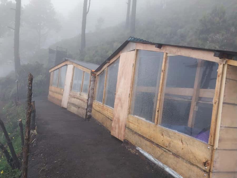 From Antigua: 2-Day Acatenango Volcano Hiking with Guide - Guides, language, and group rhythm