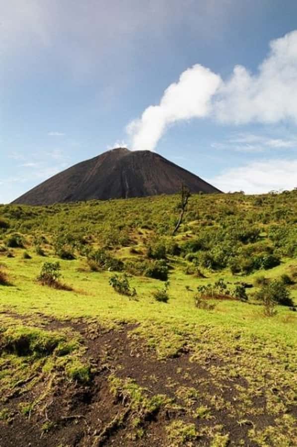 From Antigua: Pacaya Volcano Day Hike - Pacaya is Guatemala’s approachable volcano experience