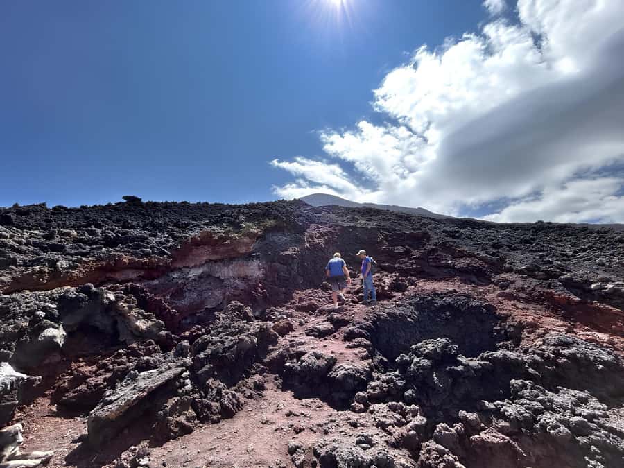 From Antigua: Pacaya Volcano Tour in English/Spanish - Marshmallows over volcanic steam