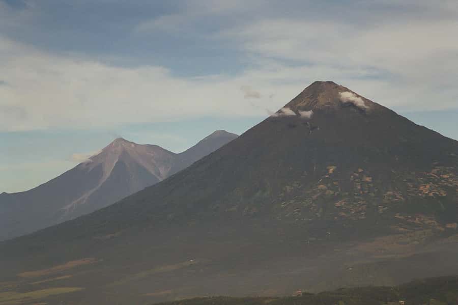From Antigua: Pacaya Volcano Trek - Starting the Pacaya trail through pine forest