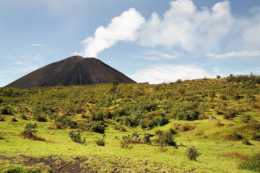 From Antigua: Pacaya Volcano Trek - Smoking ground, steam, and the marshmallow stop