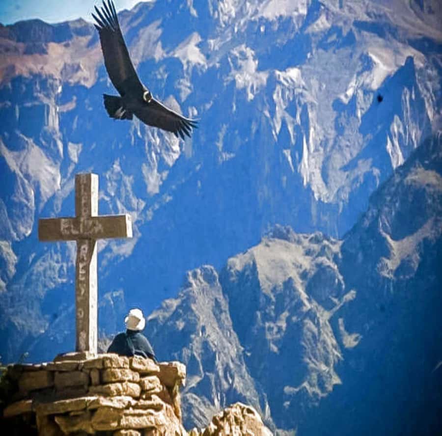 From Arequipa: 2-Day Colca Canyon Tour with Transfer to Puno - Day 1: From Arequipa’s center to Chivay