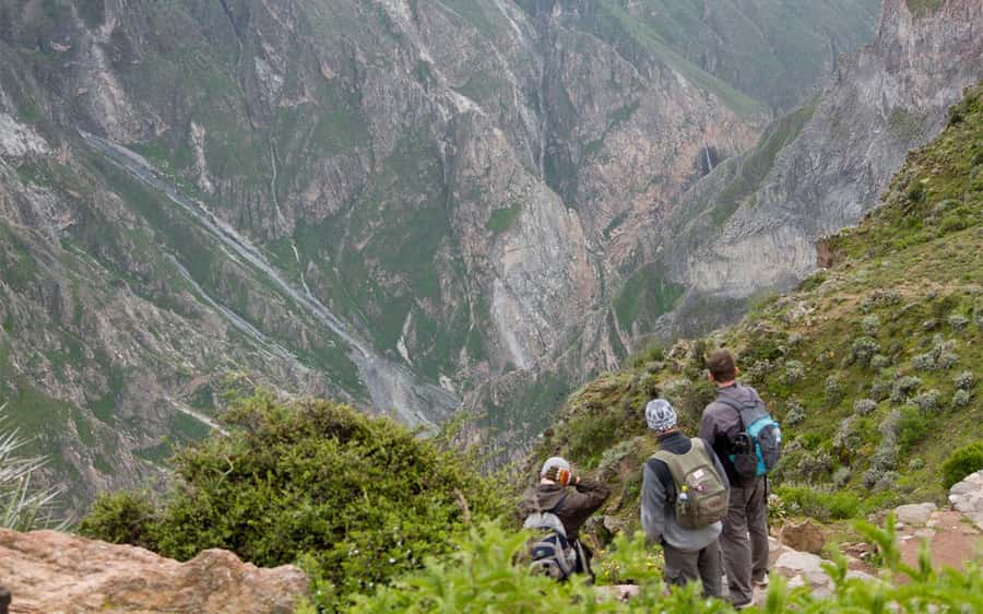 From Arequipa: 2-Day Colca Canyon Trekking Tour - Why this two-day Colca Canyon trek is worth your time