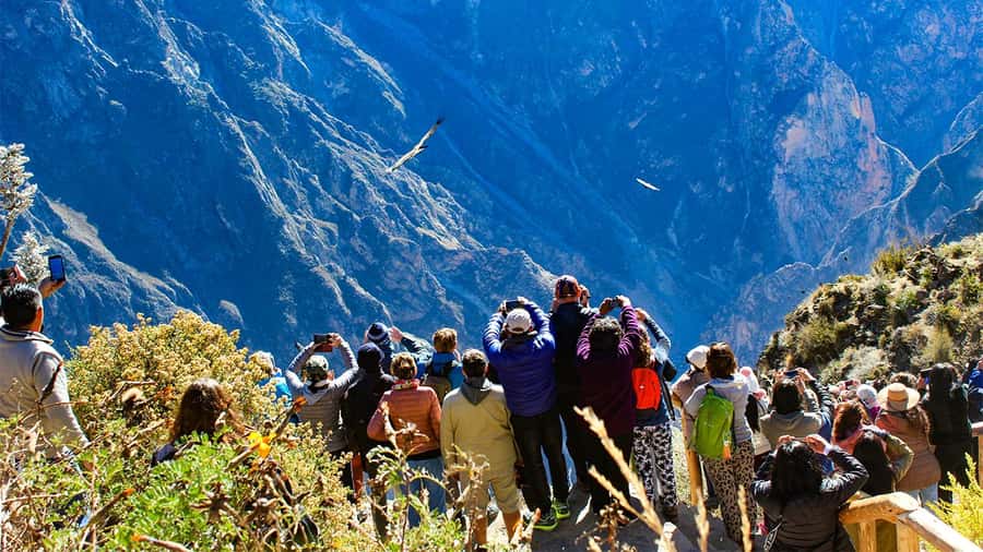 From Arequipa: Colca Canyon Day Trip with Transfer to Puno - Sunrise in the Andes and breakfast in Chivay