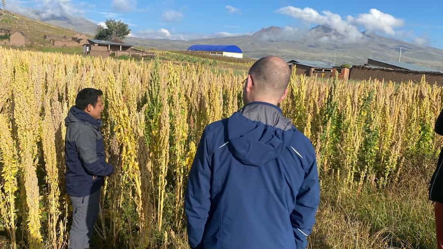 From Arequipa: Colca Canyon Day Trip with Transfer to Puno - Terraces, villages, and the Colca River