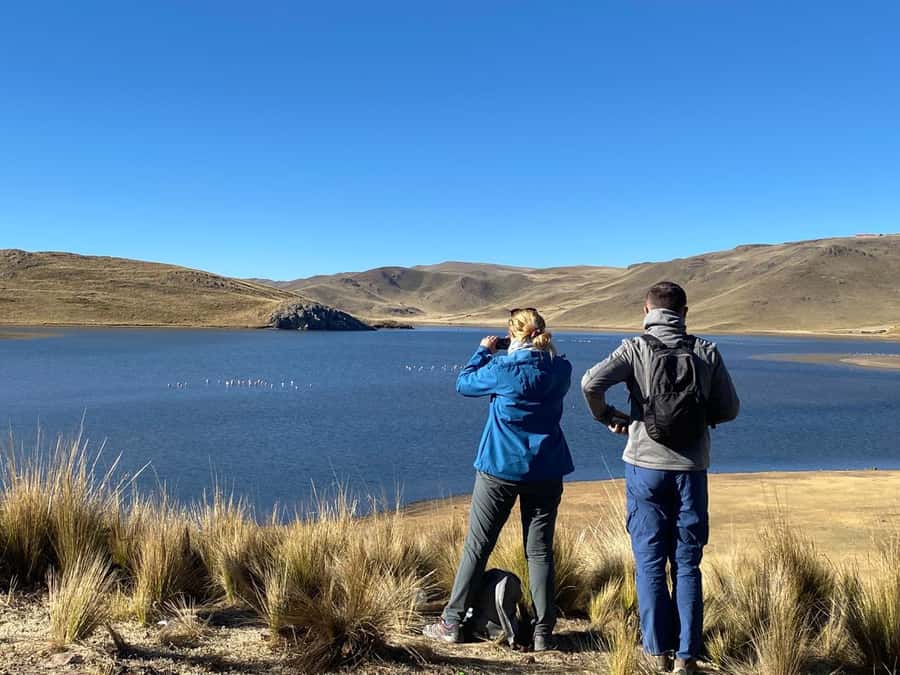 From Arequipa: Colca Canyon Day Trip with Transfer to Puno - Maca and the taste of village life