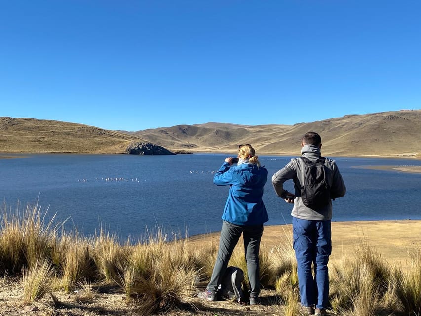 From Arequipa: Colca Canyon Day Trip with Transfer to Puno - Chacapi hot springs after the canyon