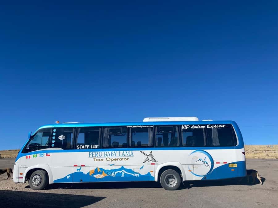 From Arequipa: Colca Canyon Day Trip with Transfer to Puno - Lunch and regional food in Chivay