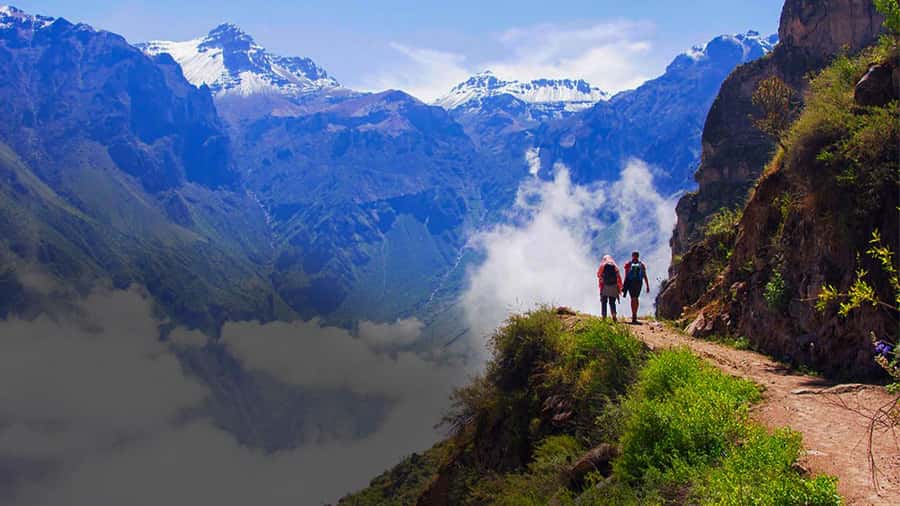 From Arequipa: Colca Canyon Day Trip with Transfer to Puno - The 3:00 am pickup from central Arequipa
