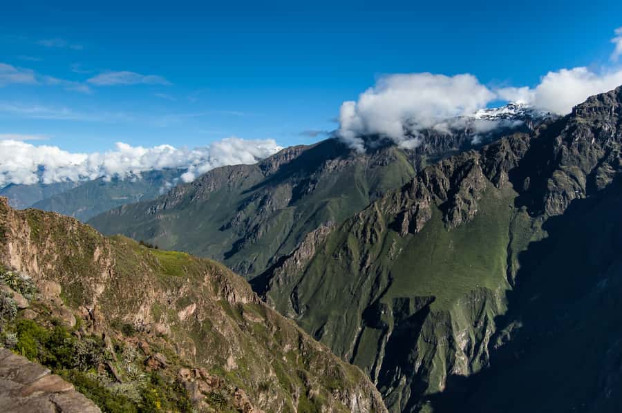 From Arequipa: Colca Canyon & La Calera Thermal Waters - Key points to know before booking