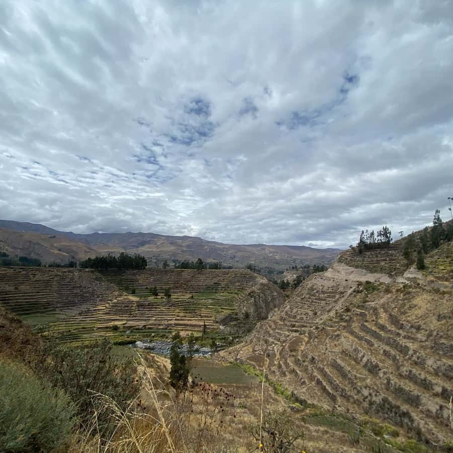 From Arequipa: Colca Canyon & La Calera Thermal Waters - Chivay, breakfast, lunch, and the cost of entry