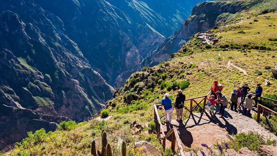 From Arequipa: Full Day Tour of Colca Canyon with Meals - Key points to know before booking