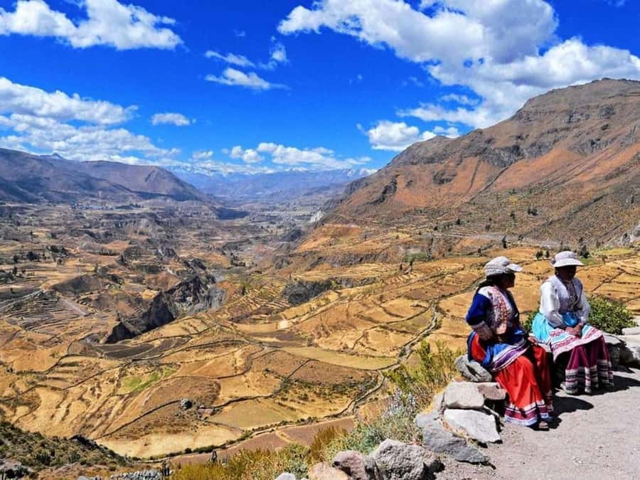 From Arequipa: Full Day Tour of Colca Canyon with Meals - Antahuilque and Choquetico viewpoints