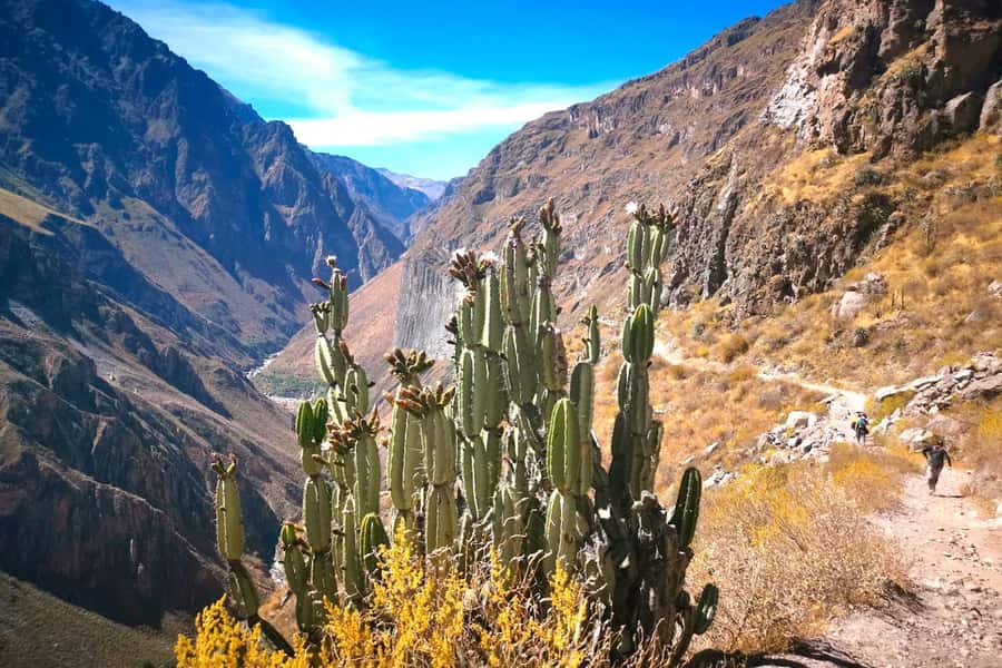 From Arequipa Trek : 2-Days of Hiking in the Colca Canyon - Before the hike, condors and high Andean views