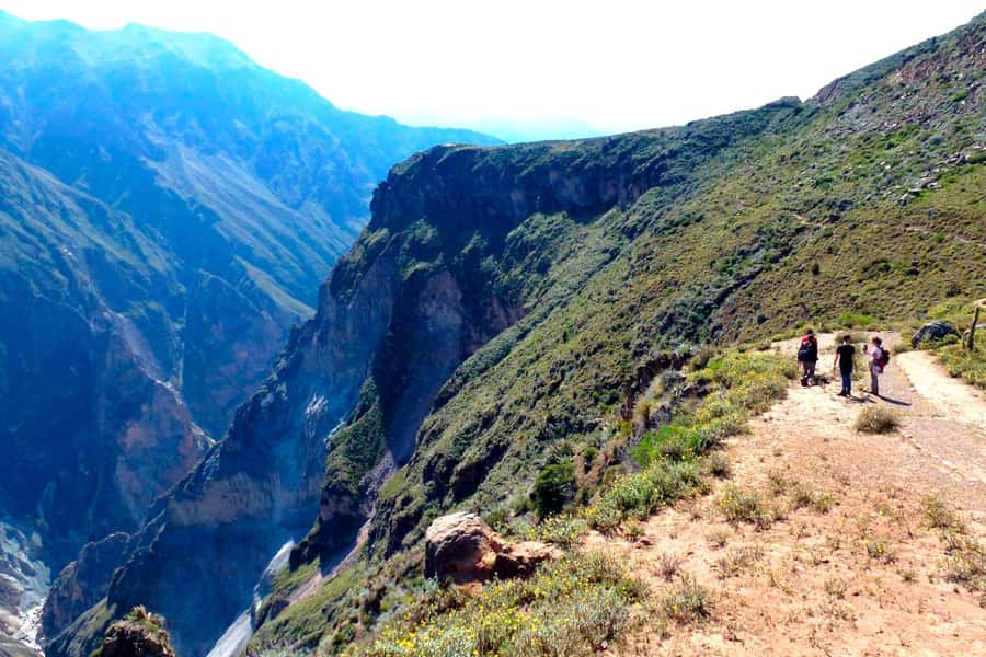 From Arequipa Trek : 2-Days of Hiking in the Colca Canyon - San Miguel to San Juan de Chuccho: three hours downhill