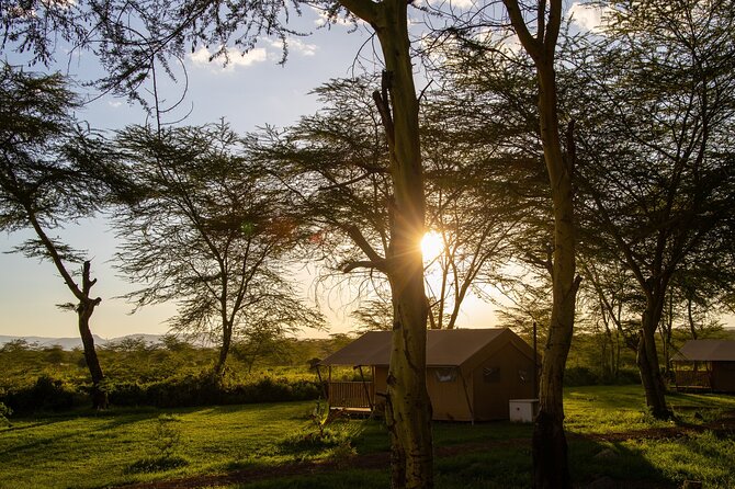 From Arusha: 5 Days Classic Safari Cats, Calves & Crater - Day 4: Inside Ngorongoro Crater