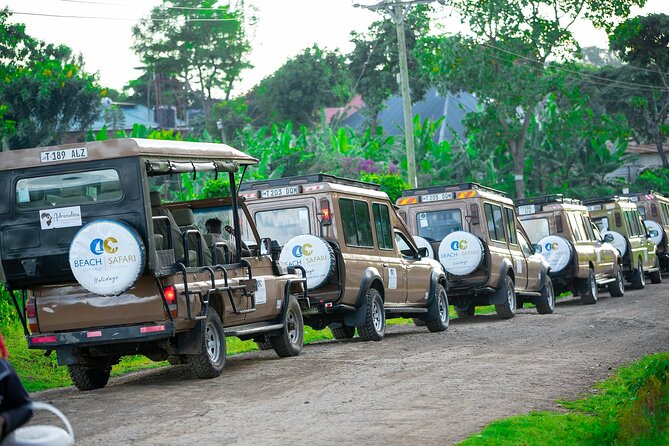 From Arusha: Tarangire and Ngorongoro Crater 3-Day Private Safari - Day 2: Inside the Ngorongoro Crater