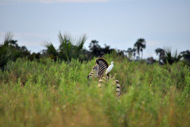 From Arusha: Tarangire and Ngorongoro Crater 3-Day Private Safari - What private travel changes