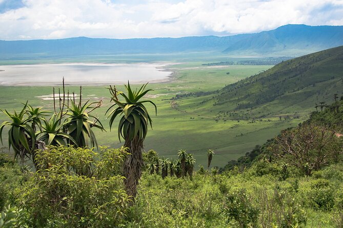 From Arusha: Tarangire and Ngorongoro Crater 3-Day Private Safari - Day 3: Return to Arusha