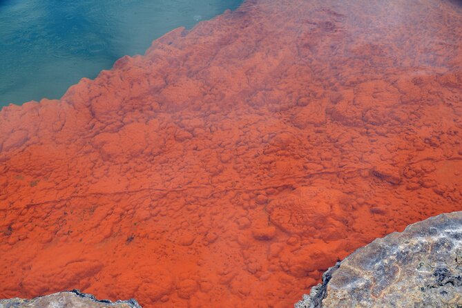 From Auckand: Waiotapu and Polynesian Spa Rotorua Day Tour - Rotorua in the middle of the itinerary