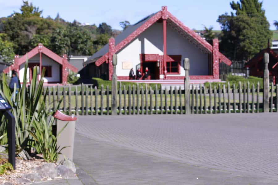 From Auckland: Day Trip to Rotorua with Optional extras - The hangi buffet lunch at Te Puia