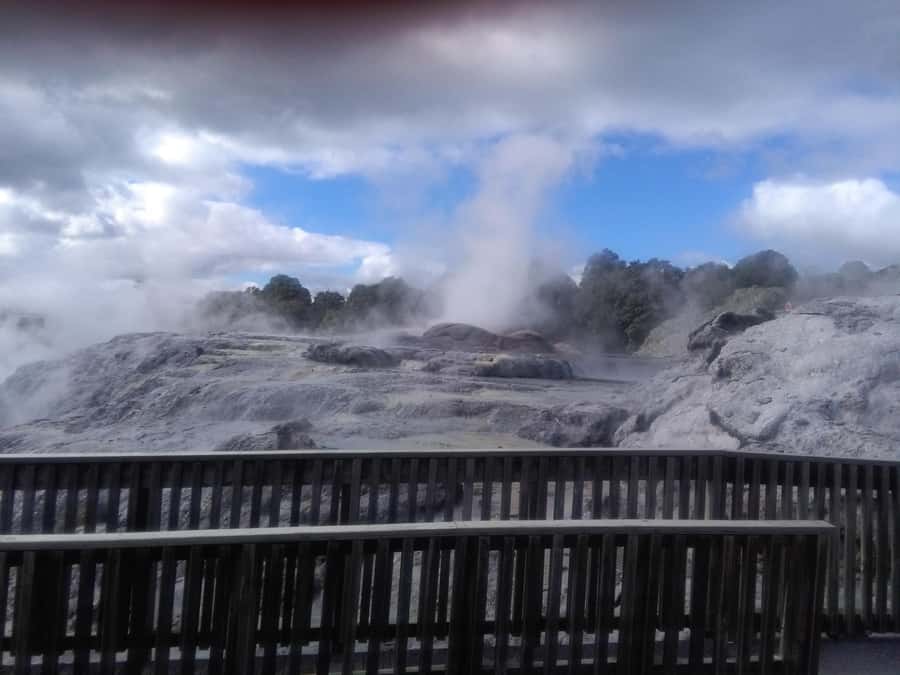 From Auckland: Day Trip to Rotorua with Optional extras - Auckland pickup and the small-group setup